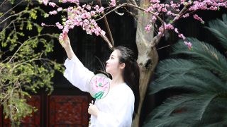 古装历史剧剧照，宏大战争场面，骑兵队伍在黄土高原奔腾，旌旗飘扬气势磅礴