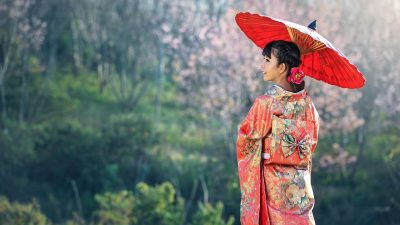 学中文影视专题封面，中国传统文化元素与现代影视画面融合，适合语言学习者